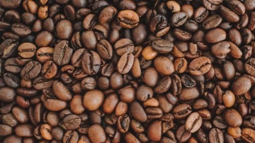 The Importance of Quality Coffee Beans